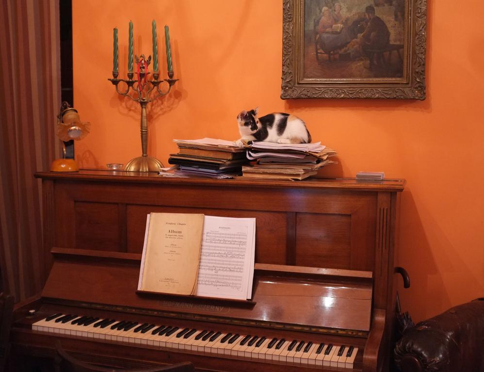 Piano Guest House Krakkó Kültér fotó
